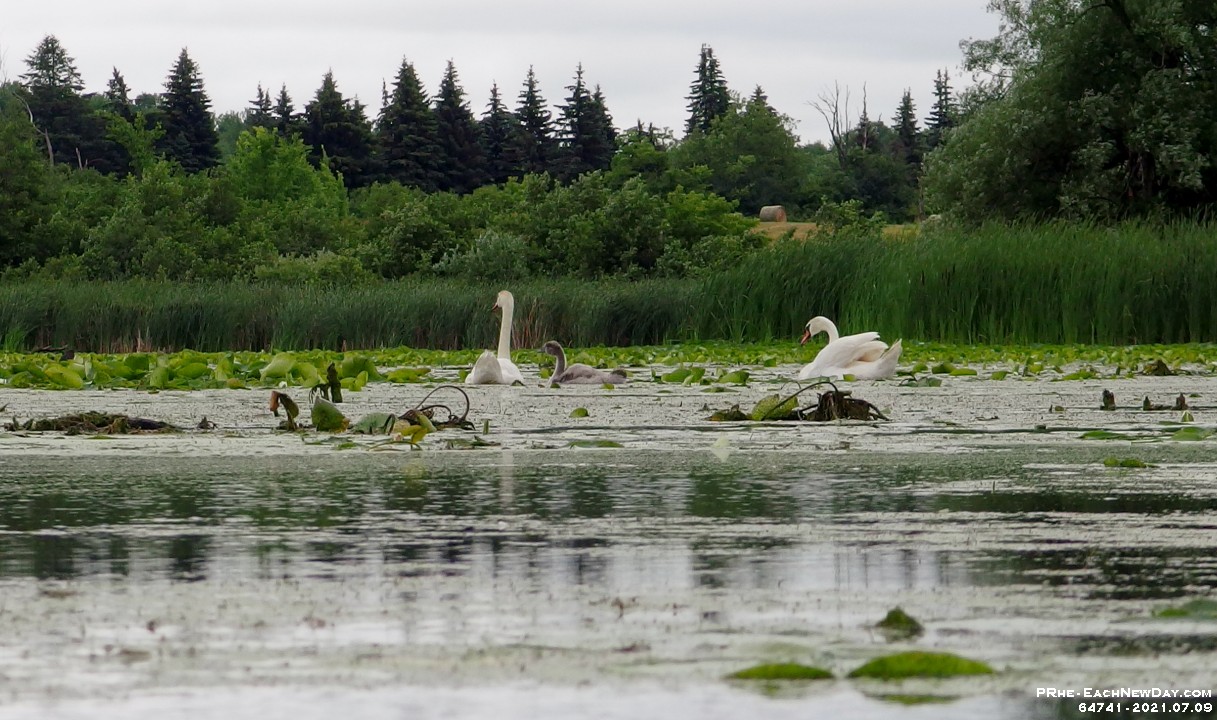 64741RoCrLe - Paddling along Colonel By Lake and into Gibraltar Bay